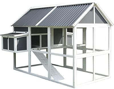 Grand poulailler, poulailler en bois, poulailler extérieur, cage chat pigeon, cage chat