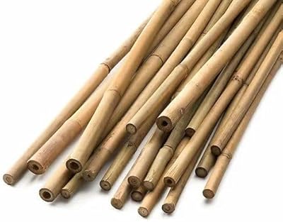 Bâton de support pour plante en bambou piquets jardin (10 180 cm)