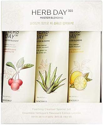Coffret de mousse master blending the face shop herb day 365