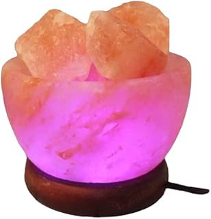 Bol de lampe au sel de l'himalaya 4su traders avec morceaux de cristal
