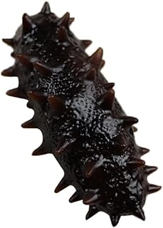 Toyvian réaliste artificiel concombre de mer océan modèle animal jouets pour la maison. DIAYTAR COTE D'IVOIRE est une boutique en ligne généraliste qui propose plus de 300000 références de produits. Elle offre une large gamme de choix aux clients ivoiriens et est considérée comme l'une des boutiques en ligne les plus populaires de Côte d'Ivoire. Avec son site web facile à naviguer, les clients peuvent trouver facilement ce qu'ils cherchent.