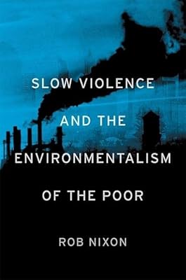 Violence lente et environnementalisme des pauvres