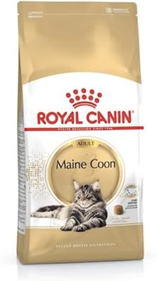 Canin feline race nutrition maine coon adulte alimentation sèche 2
