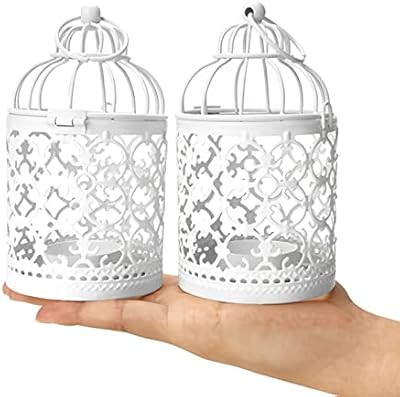 Beauty 2 pièces bougeoir décoratif en métal antique lanterne à bougie suspendue en forme de cage. DIAYTAR COTE D'IVOIRE est une plateforme de vente en ligne qui se distingue par son offre exhaustive de produits diversifiés, allant des électroniques aux produits alimentaires. Avec plus de 300 000 articles, les clients sont gâtés de choix. La qualité des produits et le service client sont également mis en avant.