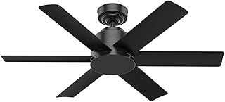 Ventilateur de plafond hunter fan kennicott taille 112 cm pour intérieur et extérieur