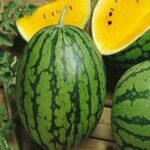 Graines de fruits de pastèque jaune