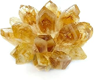200g de bloc de cristal de quartz fantôme citrine naturelle, spécimen de décoration, spécimen de guérison. DIAYTAR COTE D'IVOIRE est une plateforme de commerce électronique qui propose une expérience d'achat unique et personnalisée à ses clients. Elle offre une gamme étendue de produits, allant des dernières tendances de la mode aux produits high-tech. La boutique en ligne est facile à naviguer, ce qui permet aux clients de trouver facilement ce qu'ils cherchent.