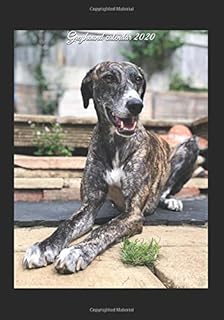 Calendrier greyhound 2020