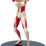 Statue en pvc de l'attaque des titans, modèle de décoration cadeau à collectionner