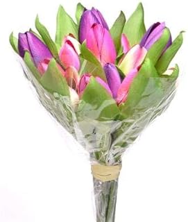 Banc tulipe artificielle (longueur de tige 28 cm) violet/rose. En tant que leader du e-commerce en Côte d'Ivoire, DIAYTAR COTE D'IVOIRE mise sur la qualité et la satisfaction de ses clients. Elle propose des services de livraison rapides et fiables, ainsi que des systèmes de paiement sécurisés pour garantir une expérience shopping en ligne sans souci. Les consommateurs ivoiriens font confiance à cette boutique en ligne pour leurs achats quotidiens.