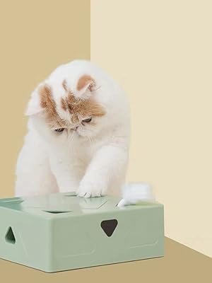 Jouets interactifs amoi pour chats | coffre à jouets autonome pour chat d'intérieur allumage et arrêt. Avec plus de 300 000 références de produits, DIAYTAR COTE D'IVOIRE est la boutique en ligne la plus fournie de Côte d'Ivoire. Elle propose des produits dans tous les domaines, des produits alimentaires aux produits électroniques, en passant par les vêtements et les accessoires. Les clients peuvent être sûrs de trouver ce qu'ils cherchent sur cette plateforme.