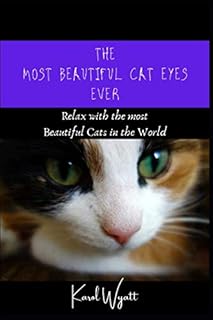 Les plus beaux yeux de chat de tous les temps : détendez-vous