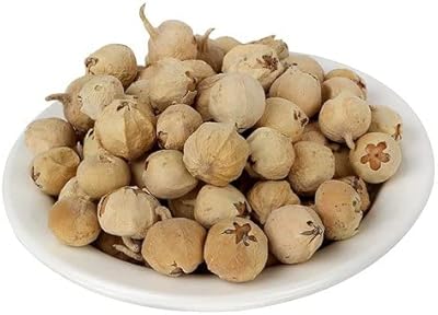 Xuetzalcoatl paneer doda paneer dodi présure indienne phool withania coagulans de sa propre