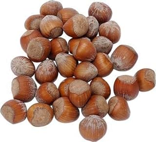 40 graines de noisetier d'amérique filbert corylus americana graines de noix de fruits