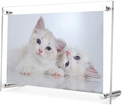 Cadre photo en acrylique transparent creative planet 4r - cadre photo de table élégant avec support - épaisseur 3 + 3 mm. Diaytar Côte d'Ivoire, votre partenaire de confiance pour vos achats en ligne, vous offre un choix immense de plus de 300 000 références de produits. Que vous cherchiez des produits pour la maison, des accessoires pour votre téléphone ou des vêtements pour toute la famille, Diaytar a tout ce qu'il vous faut. Avec une équipe dédiée au service client, Diaytar assure une expérience d'achat sans soucis.