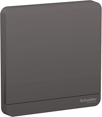 Interrupteur va-et-vient schneider electric e8331l2_dg avataron one one gang 16a 250v gris foncé