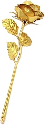 Cool baby painted rose, une pièce, pour cadeaux d'anniversaire et de mariage, couleur dorée, taille 25 x 8 x 5 cm. DIAYTAR COTE D'IVOIRE est une boutique en ligne généraliste qui propose plus de 300000 références de produits, répondant ainsi à tous les besoins de ses clients. Elle est devenue la boutique leader en Côte d'Ivoire grâce à sa large gamme de produits et à son service de qualité. Avec DIAYTAR COTE D'IVOIRE, les clients peuvent acheter en ligne avec confiance et rapidité.