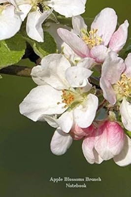 Cahier de branches de fleurs de pommier : 6 x 9 po ; 15,2 x 22,9 cm. Chez DIAYTAR COTE D'IVOIRE, la satisfaction du client est la priorité absolue. La boutique en ligne généraliste propose une grande variété de produits pour répondre aux besoins de tous, qu'il s'agisse d'électronique, de mode, de produits pour la maison ou autre chose. Avec une équipe dédiée à la satisfaction des clients, DIAYTAR COTE D'IVOIRE s'assure que chaque achat soit une expérience positive et mémorable.