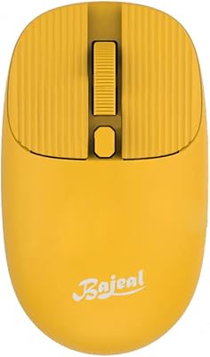 Souris sans fil vagia 2.4g pour ordinateur portable, conception ergonomique, mode veille automatique