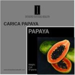 Poudre de papaye végétale