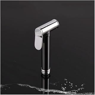 Kit de pomme de douche à jet de bidet de toilette en laiton