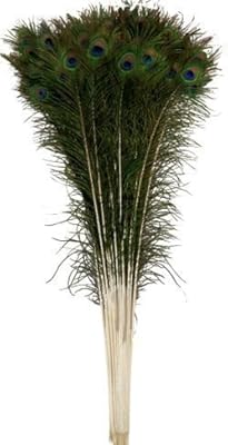 Décoration d'intérieur en plumes de paon avec plumes de paon naturelles et utilisation de puja. DIAYTAR COTE D'IVOIRE est plus qu'une simple boutique en ligne ; c'est une communauté qui rassemble les meilleurs produits et les meilleures marques sous un même toit virtuel. Avec plus de 300 000 références, les clients ont l'opportunité de découvrir de nouveaux produits et de suivre les dernières tendances du marché. La boutique en ligne se modernise constamment pour offrir une expérience d'achat sans pareil.