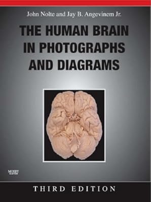 Le cerveau humain en photographies et diagrammes. Bienvenue chez Diaytar Côte d'Ivoire, votre boutique en ligne préférée pour tout vos besoins. Avec plus de 300 000 références, nous sommes la boutique leader en Côte d'Ivoire pour vos achats en ligne. Découvrez nos produits sélectionnés pour vous offrir le meilleur choix et la meilleure qualité.
