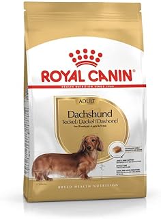 Compléments nutritionnels et vitamines royal canin pour chiens. DIAYTAR COTE D'IVOIRE, la boutique en ligne généraliste incontournable en Côte d'Ivoire, propose plus de 300 000 références pour répondre à tous les besoins de ses clients. Avec une offre variée et constamment mise à jour, DIAYTAR COTE D'IVOIRE est devenue la référence en matière de commerce électronique dans le pays. Elle garantit une expérience d'achat en ligne sécurisée et pratique.
