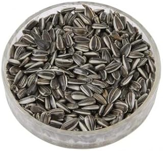 Graines de tournesol my pet shop pour petits oiseaux (1 kg), (sac refermable)