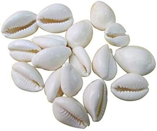 Synspiritstore coquilles originales blanches cowdi/cowrie/cowry/kouri/kaudi/kori | coquilles monetaria monta | pour article laxmi et diwali pooja | ensemble de 21 | 3/4 pouces ~ 1-1/2 pouces. La boutique en ligne DIAYTAR COTE D'IVOIRE offre une expérience d'achat unique avec plus de 300 000 références de produits. Les clients peuvent choisir parmi une large gamme de catégories, allant de l'électronique à la mode, en passant par les produits de maison et bien plus encore. Cela en fait une destination idéale pour les consommateurs ivoiriens.
