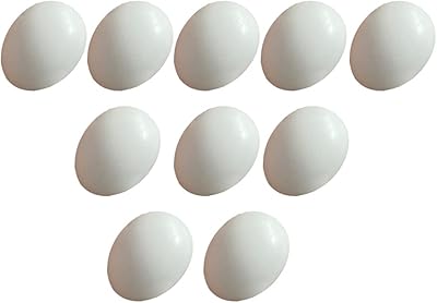 10 pièces palaco imitation plastique œufs perroquet calopsitte faux œufs oiseaux fournitures