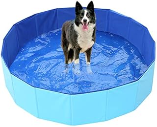 Zytshop piscine pliable pour chien - piscine portable en pvc pour animaux