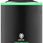 Mini brûleur d'encens intelligent avec lumière de lion vert | brûleur