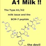 Ne buvez pas de lait a1 !! : le problème du lait