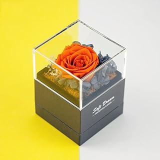 Boîte à bijoux en roses véritables préservées vizozi - coffret cadeau de roses