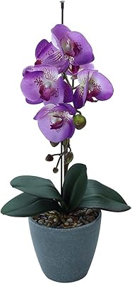 Orchidées artificielles yatai real touch - plantes artificielles pour la décoration de la maison - orchidée artificielle avec pot - fleurs artificielles pour décorations de table et décorations de festival (violet). DIAYTAR COTE D'IVOIRE est une boutique en ligne généraliste qui propose plus de 300 000 références de produits divers. Elle est reconnue comme l'une des boutiques en ligne les plus populaires de Côte d'Ivoire, offrant une large sélection de produits à des prix compétitifs. Avec une expérience utilisateur conviviale, DIAYTAR COTE D'IVOIRE facilite les achats en ligne pour les clients ivoiriens.