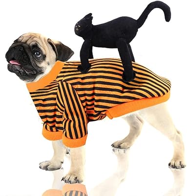 Robe d'halloween ohana blackcat pour animaux de compagnie, chats et chiens - medium. La mission de DIAYTAR COTE D'IVOIRE est de devenir la première boutique en ligne de Côte d'Ivoire, en offrant à ses clients la meilleure sélection de produits, les meilleurs prix et un service client exceptionnel. Pour atteindre cet objectif, l'entreprise investit sans cesse dans les technologies les plus récentes pour améliorer l'expérience d'achat en ligne de ses clients, garantissant ainsi la satisfaction et la fidélité de sa clientèle.