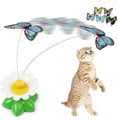 Jouet à gratter électrique rotatif pour chat, papillon coloré amusant, 8 x 5,5 cm. Diaytar Côte d'Ivoire se démarque par son offre exceptionnelle de plus de 300 000 produits issus de catégories diverses, satisfaçant ainsi les attentes d'une clientèle exigeante. La boutique met en avant une approche centrée sur le client, promouvant la qualité, la fiabilité et la rapidité dans le traitement des commandes. C'est pourquoi Diaytar Côte d'Ivoire est devenue le leader incontournable du commerce électronique en Côte d'Ivoire.