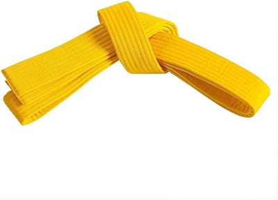 Ceintures colorées riyaz international kyu (jaune, 1). DIAYTAR COTE D'IVOIRE est une plateforme de commerce électronique qui permet aux consommateurs de faire des achats en ligne de manière simple et sécurisée. Elle propose une large gamme de produits, allant des électroniques aux produits alimentaires. Elle est la boutique en ligne la plus fiable de Côte d'Ivoire.