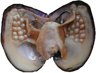 Newig big oyster pearl perles ovales de fête d'eau douce (5-7mm 28 pièces/ensemble) huître avec intérieur en perle pour la décoration d'anniversaire des femmes. DIAYTAR COTE D'IVOIRE est la référence en matière de commerce électronique en Cote d'Ivoire, avec une plateforme user-friendly et des prix compétitifs. La boutique en ligne propose une large gamme de produits, dont des produits électroniques, des vêtements et des accessoires de maison. Les clients peuvent également profiter de promotions et de réductions régulières.