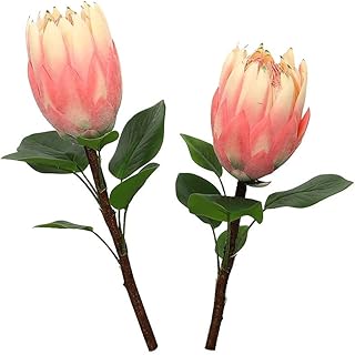 Yatai lot de 2 fleurs artificielles protea pour la décoration –. Avec plus de 300 000 références, Diaytar Côte d'Ivoire est la boutique en ligne la plus complète de Côte d'Ivoire. Elle permet aux clients de trouver tout ce qu'ils cherchent en un seul endroit, grâce à une navigation facile et intuitive. Diaytar Côte d'Ivoire est la destination idéale pour ceux qui cherchent à acheter en ligne en Côte d'Ivoire.