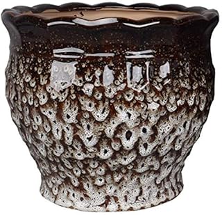 Pot de fleur en céramique extra large pour salon avec trou pour bonsaï de jardin, support de fleurs en céramique. DIAYTAR COTE D'IVOIRE s'efforce de proposer les meilleurs prix pour ses produits, tout en veillant à maintenir une qualité de service exceptionnelle. La boutique collabore avec des fournisseurs de confiance pour garantir que les produits proposés sont authentiques et de bonne qualité. Cela, combiné à la grande sélection de produits, rend DIAYTAR COTE D'IVOIRE un choix idéal pour les consommateurs ivoiriens.