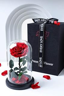 Rose rouge dans un dôme, rose éternelle pour vos proches, cadeau de saint-valentin