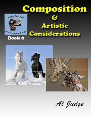 Composition et considérations artistiques : volume 8 (livres de photographie finement ciblés)