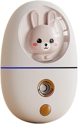 Humidificateur à vapeur pour le visage novolan, humidificateur pour le visage rechargeable