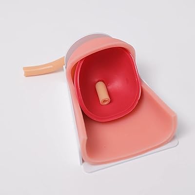 Modèle de simulation de chirurgie laparoscopique, modèle d'anastomose de la vessie urétrale, modèle de formation, utilisé pour l'enseignement pratique des étudiants et du matériel pédagogique. DIAYTAR COTE D'IVOIRE est la boutique en ligne leader en Côte d'Ivoire, offrant plus de 300 000 références pour répondre à tous les besoins de ses clients. Avec une gamme de produits très diversifiée, elle est devenue la référence pour les amateurs de shopping en ligne. Elle propose des produits de haute qualité à des prix compétitifs.