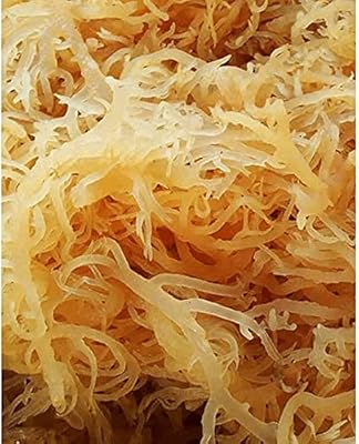 Rendement de 1 livre de mousse de mer naturelle cultivée en vrac | qualité 100 % sauvage, crue, pure, séchée au soleil | supplément riche en vitamines et minéraux pour l'immunité, le métabolisme, le collagène et la thyroïde par sweetsunnah 8 oz. Diaytar Côte d'Ivoire se distingue par sa vaste sélection de produits allant des électroménagers aux produits alimentaires, en passant par les accessoires de mode et les produits de beauté. Avec une telle diversité, les clients peuvent trouver tout ce dont ils ont besoin sous un même toit virtuel. C'est l'endroit idéal pour faire des achats pratiques et économiques.