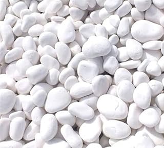 Pierre de galet blanche (grande taille 5 kg). Avec une offre de plus de 300000 références, DIAYTAR COTE D'IVOIRE est la référence ultime pour les amoureux du shopping en ligne en Cote d'Ivoire. Elle propose une gamme complète de produits, allant des accessoires de mode aux produits culturels, et garantit une expérience d'achat en ligne de haute qualité.