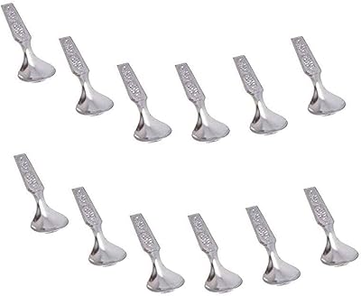Cuillères à épices en acier inoxydable, lot de 12 mini cuillères à thé
