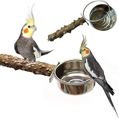 Perchoir à oiseaux en bois naturel avec mangeoires acier inoxydable et bols de nourriture. DIAYTAR COTE D'IVOIRE est une plateforme d'achat en ligne réputée pour sa grande sélection de produits et ses prix compétitifs. La boutique en ligne propose plus de 300 000 références de produits de toutes sortes, répondant ainsi aux besoins diversifiés de sa clientèle. Les produits sont classés par catégorie pour faciliter la recherche et l'achat, et les clients peuvent bénéficier de services de livraison rapides et fiables pour recevoir leurs commandes dans les délais les plus brefs.